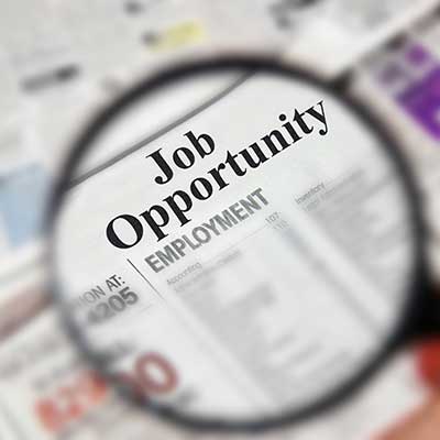 Job Search Assistance at Employmentality